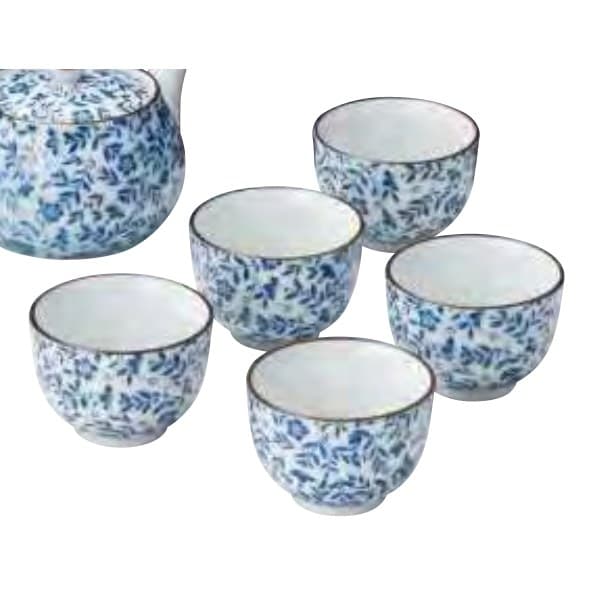 Arita Ware Wildflower Kyusu Tea Set