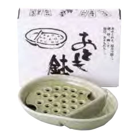 Otomo Divided Bowl – Green