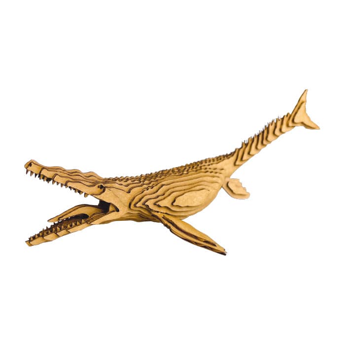 Contamo Mosasaurus L 21